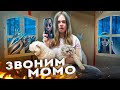 ЗРЯ МЫ ПОЗВОНИЛИ МОМО ИЗ КАРТОННОГО ДОМА