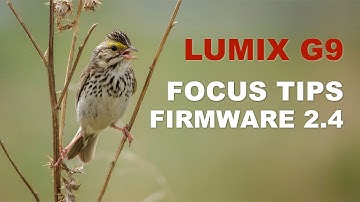 Lumix G9: Firmware Update 2.4 Focus Tips