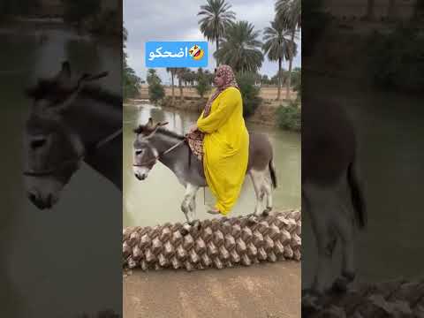 حسدوها ووقعت هتضحك مقالب   كوميديات