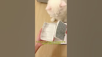 Must-have for pet parents-Petgugu Water Fountain#petgugu #shorts #waterfountain #musthave #forpets