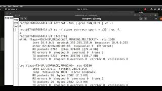 TCP attack SED lab (1.2)