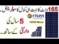 165W Risen Solar Panel Review In Urdu/Hindi | National Tech