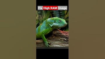 Fix High RAM Usage in PC 🖥