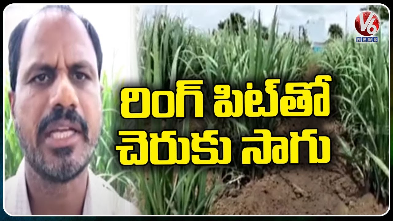 Farmer Sridhar Reddy About Sugar Cane Cultivation With Ring Pit Method | Medak Dist | V6 News
