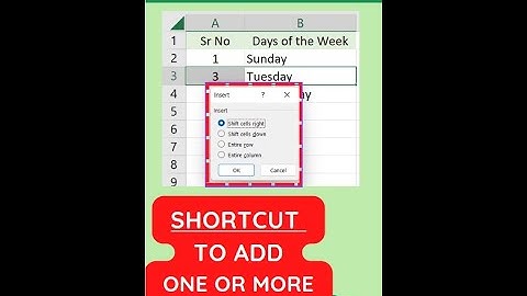 Excel Shortcut to Insert New Rows #shorts #youtubeshorts #exceltipsandtricks