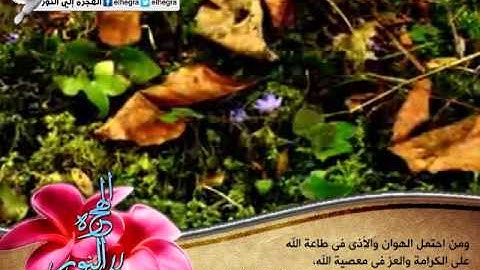علمتني سورة يوسف l الشيخ.وسيم يوسف
