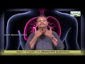 8th Science உயிரினங்களின் ஒருங்கமைவு   பருவம் 1 அலகு 18  பகுதி 3 Kalvi TV