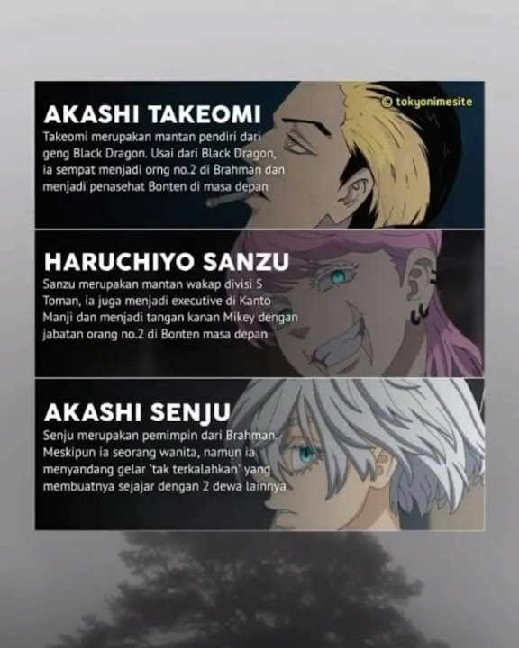 STORY WA ✔️ | AKASHI BERSAUDARA | KELUARGA MISTERIUS