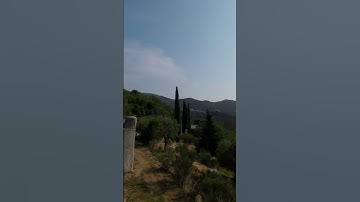 Insta360 Go 3 // allenamento proximity // drone fpv 5inch #insta360go3 #shorts