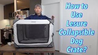 How to Use Lesure Collapsible Dog Crate?