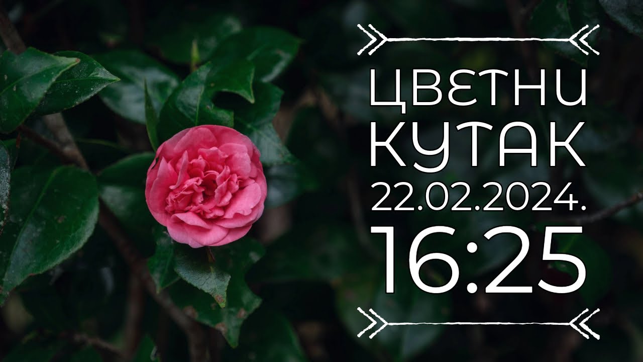 Cvetni kutak ep. 224 22.02.2024. NAJAVA