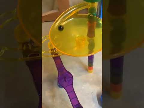 Yellow vs Black