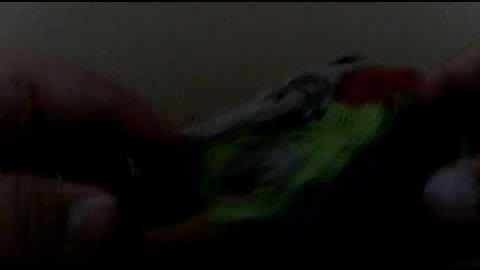 Titans return hardhead fan mode