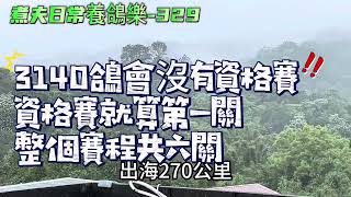 煮夫日常養鴿樂329基隆出海270公里 海上晴陸上雨 能回算是天公鳥