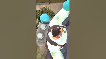 FAT TOURIST.. (Tf2 Animation)