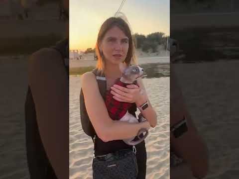 Дени и Мэни у моря встречают закат 🌅 - YouTube