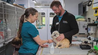 KHS is bringing the vet to you with their new mobile vet clinic