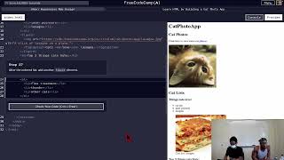 Steps 22 - 33 | Responsive Web Design | Cat Photo App | FreeCodeCamp