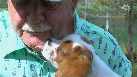 ¡Heroico! Hombre rescata a su perro de las mandíbulas de un cocodrilo
