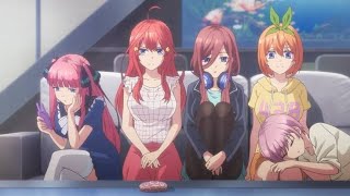 The Quintessential Quintuplets [ AMV ] King&#39;s and Queen&#39;s