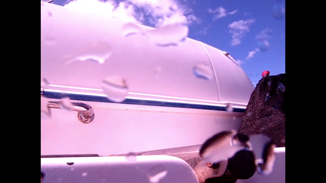 Our Fleet's ARVO get's a summer scrub