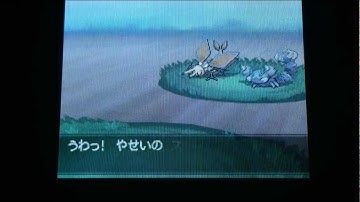 [First on YouTube] LIVE!!! Shiny 5% Vibrava after 7,754 Encounters in Black 2 Version!!!