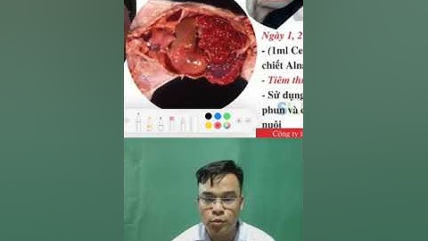 viêm ruột hoại tử trên heo #phamducthai #supervet #thaithaovet #benhvatnuoi #heo #benh