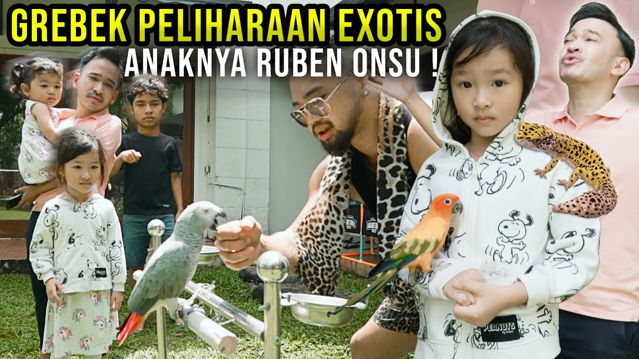GREBEK PELIHARAAN EXOTIS RUBEN ONSU DAN ANAKNYA ! BERTRAND THALIA THANIA