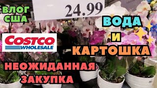 Незапланированная Закупка в COSTCO За водой и картошкой