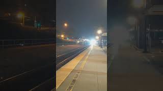 Encinitas Train Station @SquiggleMom