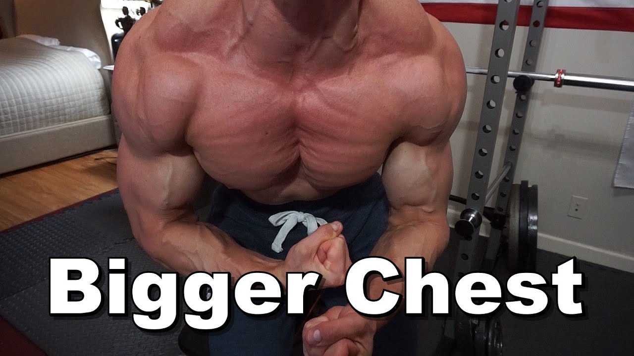 Big Chest Workout Bulking YouTube