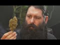 Blue Dream Seed to Smoke Cannabis Strain Review by Homegrown Cannabis Co.