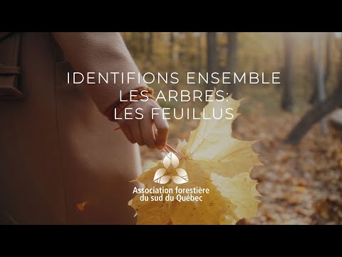 Vidéo: Feuillu, Feuillu: Qu'est-ce Que Cela Signifie