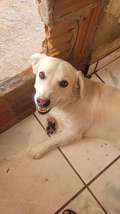 Oh sinto cheiro de xoxota