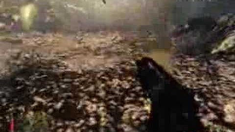Crysis | Custom Map Video Response