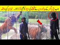 Jab Zoo Main Mojud Janwaron Ne glass Wall Ko Torh Diya | When Zoo Glass Wasn't Strong Enough