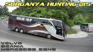 DISINILAH SURGANYA HUNTING BUS INDONESIA