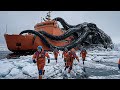 Учёные наконец-то обнаружили скрытую экосистему под антарктическим льдом