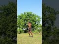 Practice makes perfect #martialart #training #fitness