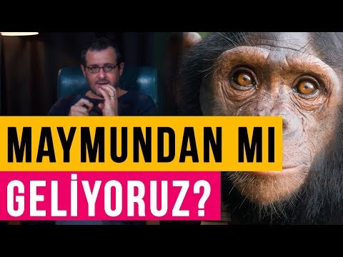 Maymundan mı Geldik? Evrime Kim, Neden Karşı? Herkes mi Aynştayn? - Teferruat (8)