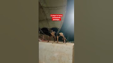 3 steps to learning commando pushups #calisthenics #commando #fitness #public #calisthenics_beyond