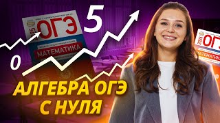 АЛГЕБРА С НУЛЯ для ОГЭ и ЕГЭ по математике | Умскул