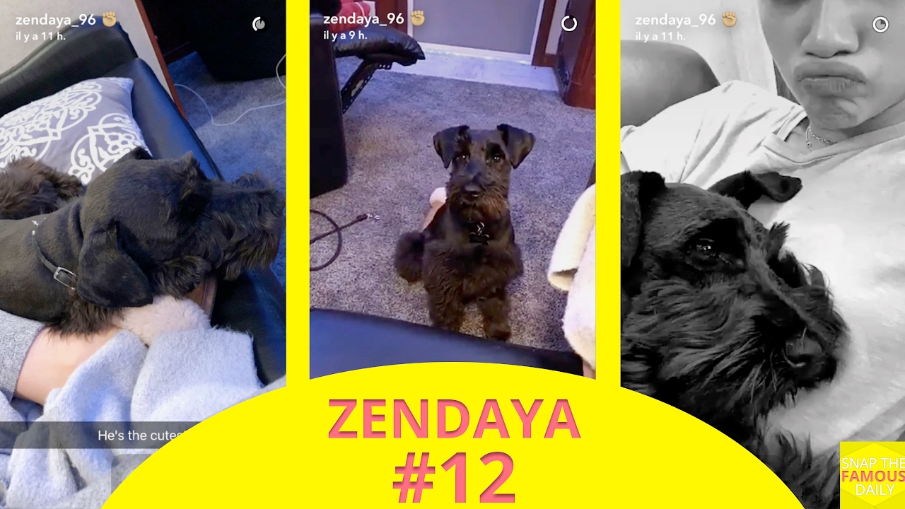 Zendaya and her cute dog - snapchat - january 31 2017 - YouTube