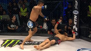 Fencing Response knockouts in MMA - Part 2 (brutal)