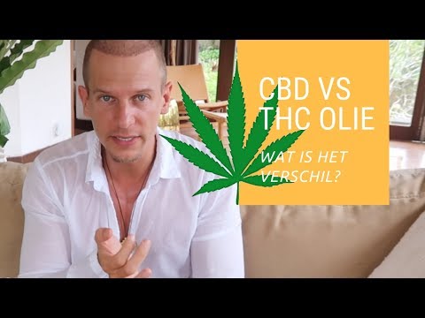 CBD olie of THC olie: wat is het verschil?