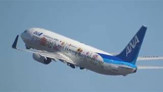 全日空 「東北FLOWER JET」Boeing 737-881 JA85AN 34R Takeoff 羽田空港