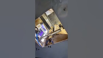 S32 almonds color sorter