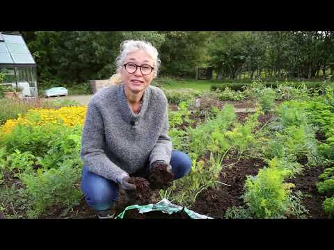 Video: Typer af nyktinastiske planter: Lær om planter, der bevæger sig af sig selv