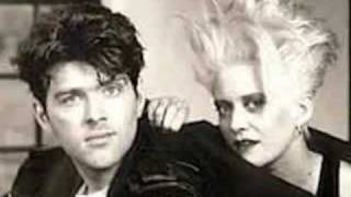 Video Bushbaby Thompson Twins