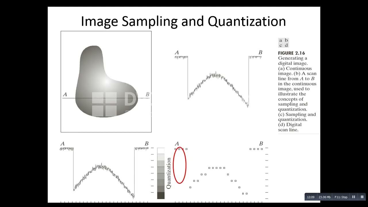 7 components image processing sampling quantization - YouTube